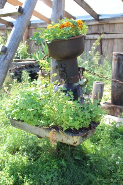 В гостях у сказки Байкала