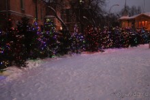 Вот такие симпатичные елочки растут на улицах новогоднего Иркутска