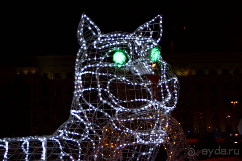 Бабр из иллюминации немного смахивает на кота!