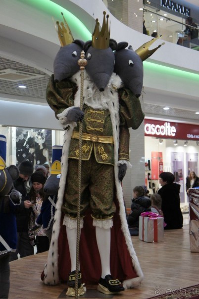 А вот и мышиный король!