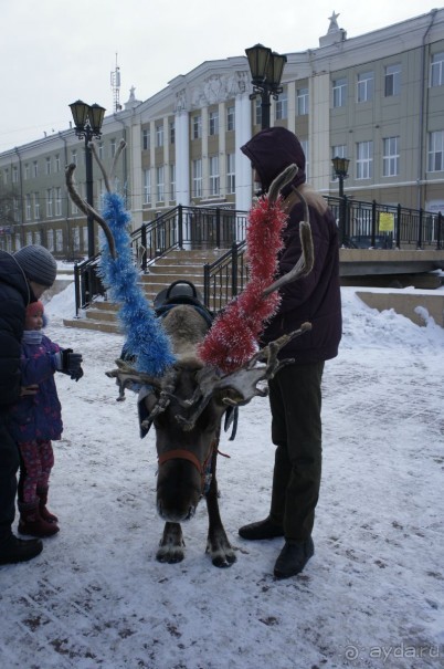 Иркутск новогодний (фотовпечатление - 5 января 2016)
