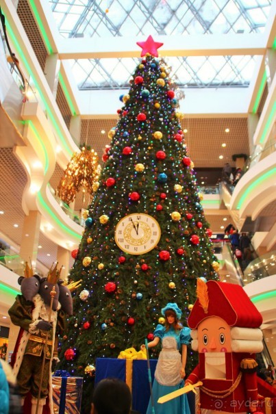 Как и во всех крупных городах, в Иркутске немало больших торговых комплексов. Мне больше всего по душе "Модный квартал" - очень удобный для шопинга и всегда нарядный