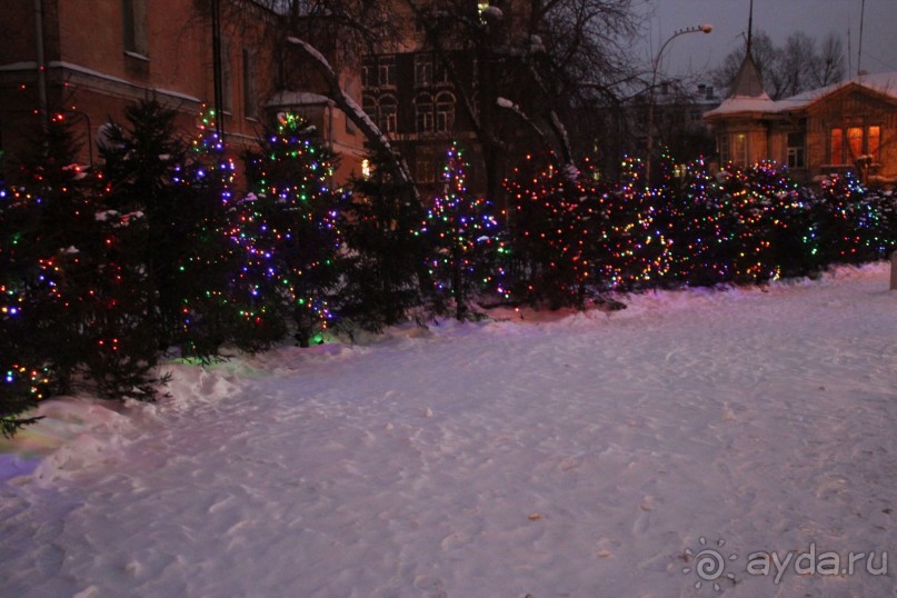 Вот такие симпатичные елочки растут на улицах новогоднего Иркутска