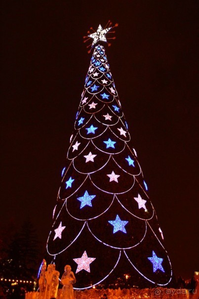 В реальности елка намного ярче,чем на фото