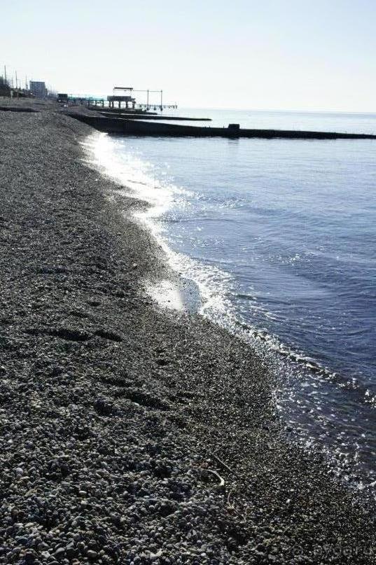 До встречи, Сочи! (отзыв о гостевом доме "Белая лилия" в Адлере)