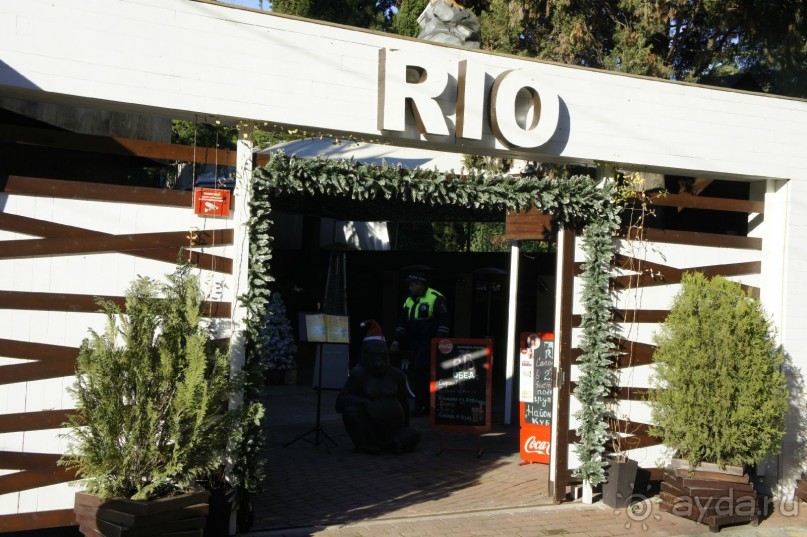 До встречи, Сочи! (отзыв о гостевом доме "Белая лилия" в Адлере)