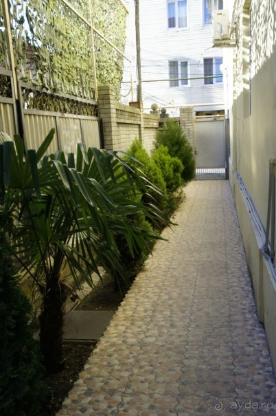 До встречи, Сочи! (отзыв о гостевом доме "Белая лилия" в Адлере)