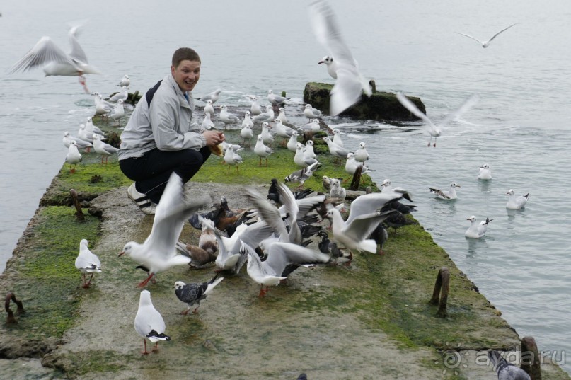 До встречи, Сочи! (отзыв о гостевом доме "Белая лилия" в Адлере)