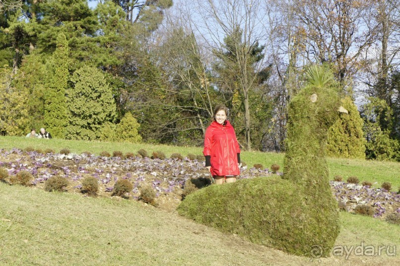 До встречи, Сочи! (отзыв о гостевом доме "Белая лилия" в Адлере)