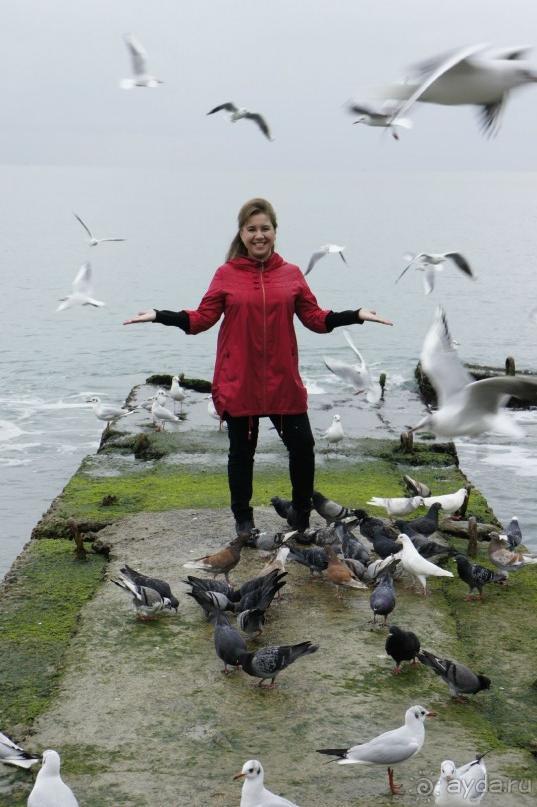 До встречи, Сочи! (отзыв о гостевом доме "Белая лилия" в Адлере)