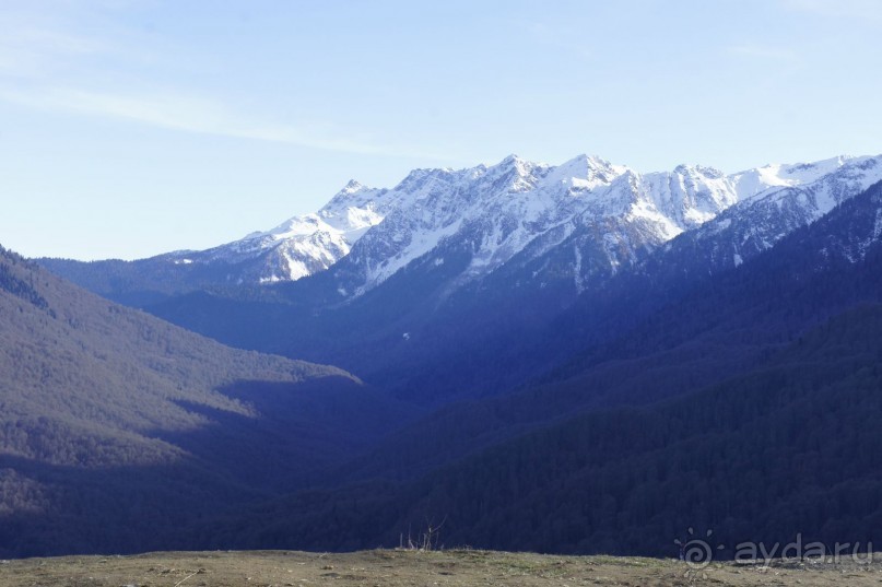 До встречи, Сочи! (отзыв о гостевом доме "Белая лилия" в Адлере)