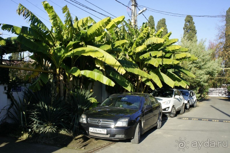 До встречи, Сочи! (отзыв о гостевом доме "Белая лилия" в Адлере)