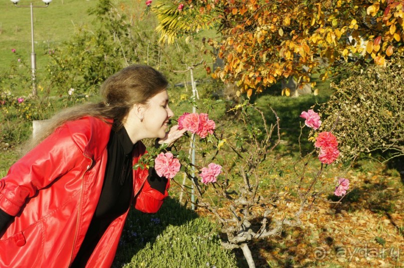 До встречи, Сочи! (отзыв о гостевом доме "Белая лилия" в Адлере)