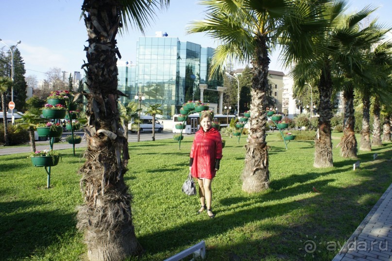 До встречи, Сочи! (отзыв о гостевом доме "Белая лилия" в Адлере)