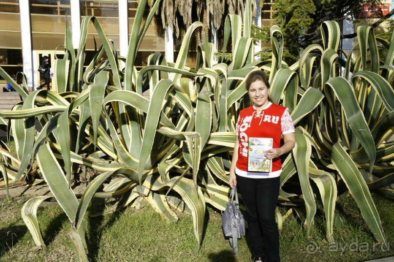 До встречи, Сочи! (отзыв о гостевом доме "Белая лилия" в Адлере)