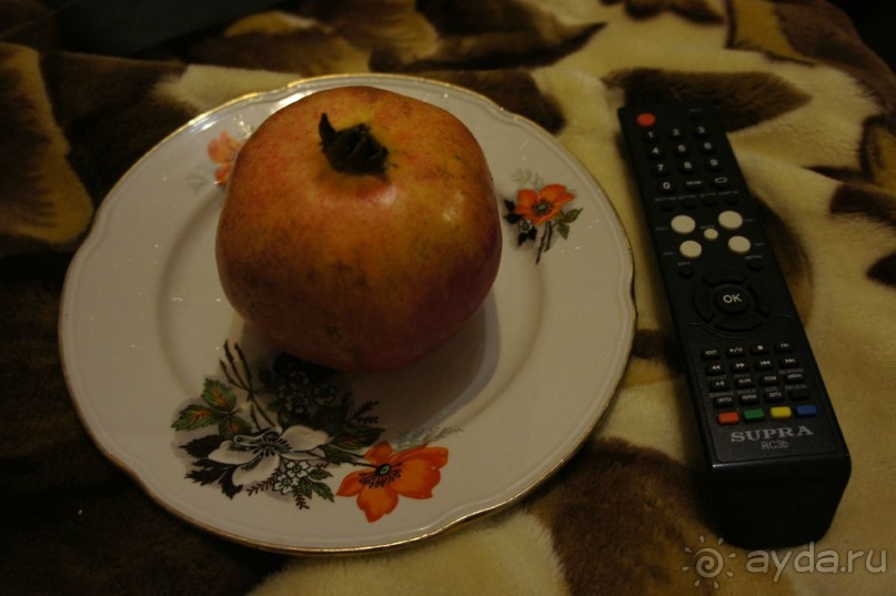 До встречи, Сочи! (отзыв о гостевом доме "Белая лилия" в Адлере)