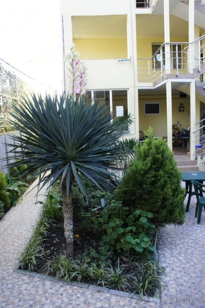 До встречи, Сочи! (отзыв о гостевом доме "Белая лилия" в Адлере)