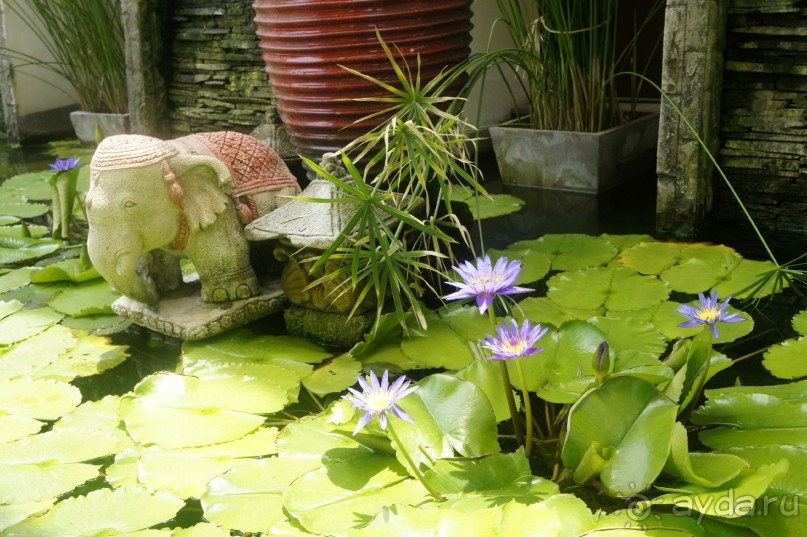 Отпуск, который запомниться надолго