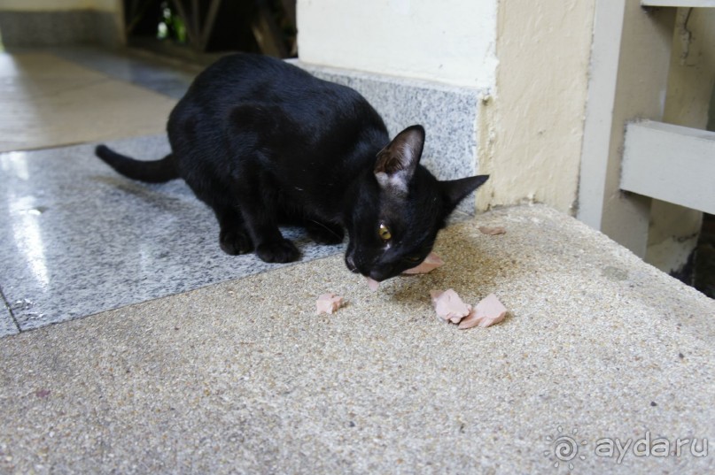 Отпуск, который запомниться надолго