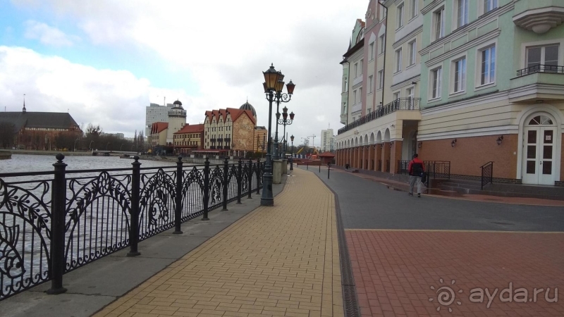 Альбом отзыва "Ни рыбы, ни деревни здесь нет. Но место живописное!"