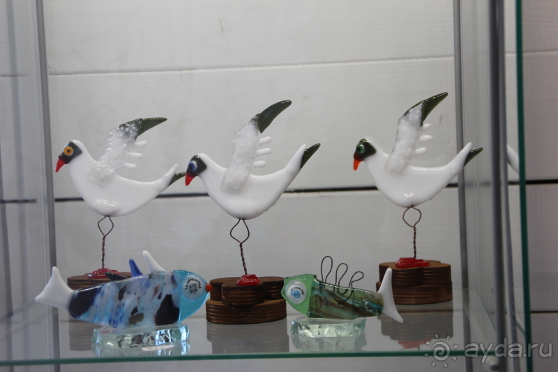 Альбом отзыва "Ни рыбы, ни деревни здесь нет. Но место живописное!"