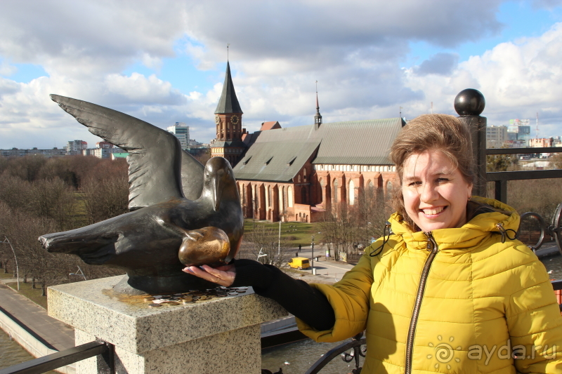 Альбом отзыва "Ни рыбы, ни деревни здесь нет. Но место живописное!"