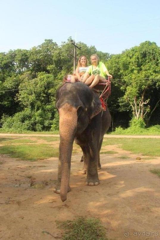 Отличное местечко для отдыха