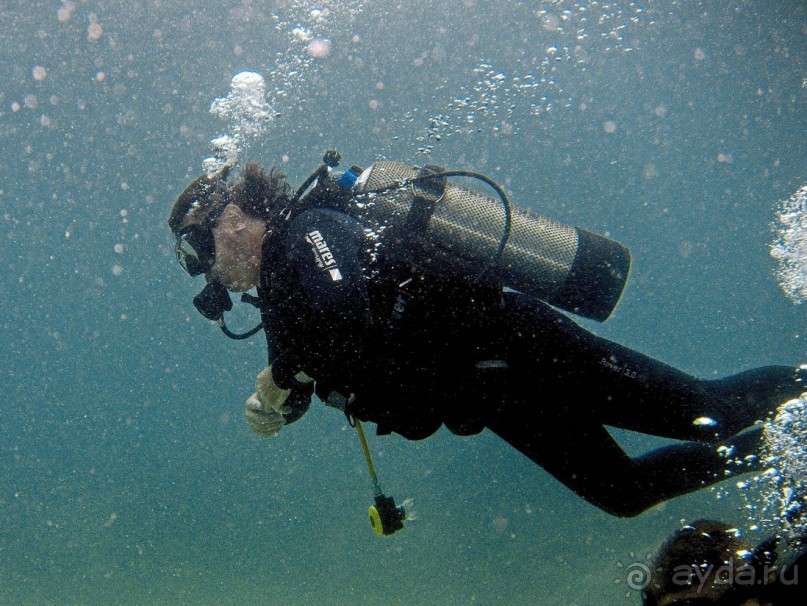 Твердая 4ка