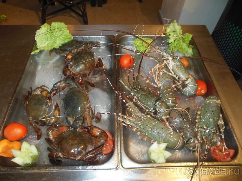 Первый раз Индии