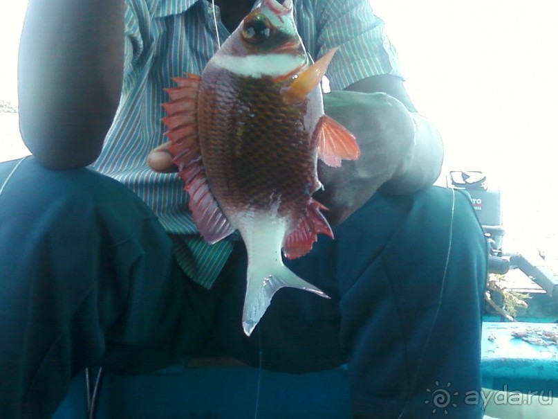 Первый раз Индии