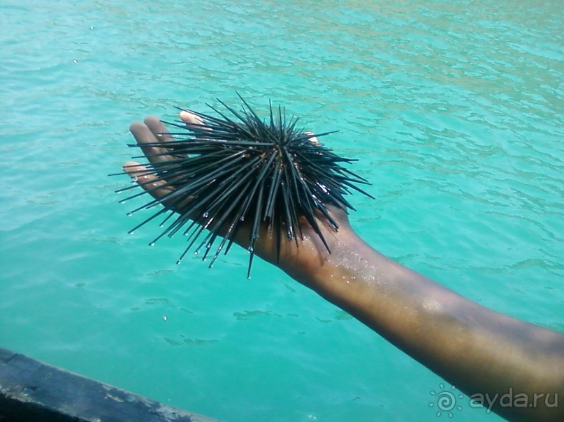 Первый раз Индии