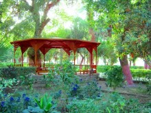 Ботанический Сад на о.Китченер в Асуане