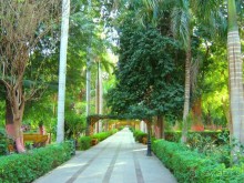 Ботанический Сад на о.Китченер в Асуане