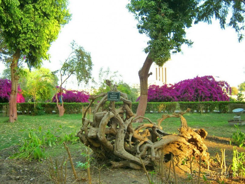 Ботанический Сад на о.Китченер в Асуане