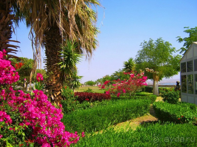 Это надо увидеть собственными глазами!!! Асуан - Абу Симбел