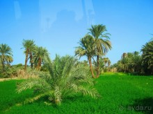 Это надо увидеть собственными глазами!!! Асуан - Абу Симбел