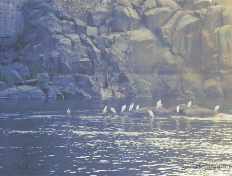 Это надо увидеть собственными глазами!!! Асуан - Абу Симбел