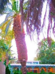 Это надо увидеть собственными глазами!!! Асуан - Абу Симбел