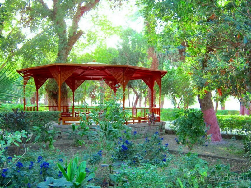 Это надо увидеть собственными глазами!!! Асуан - Абу Симбел