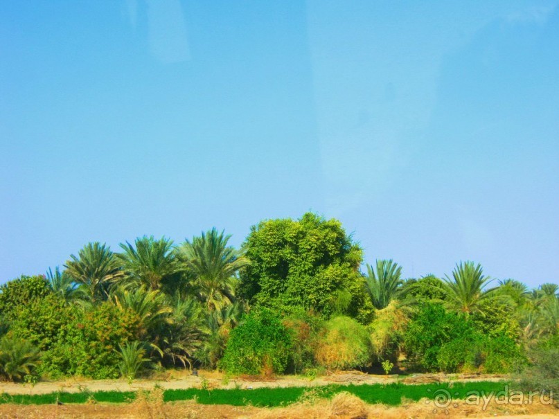 Это надо увидеть собственными глазами!!! Асуан - Абу Симбел