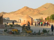 Самая насыщенная программа!