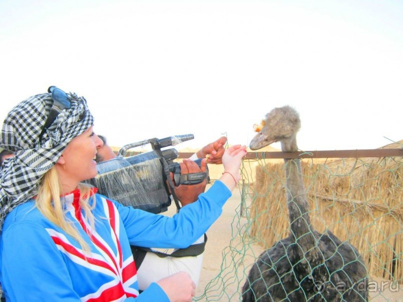 Альбом отзыва 