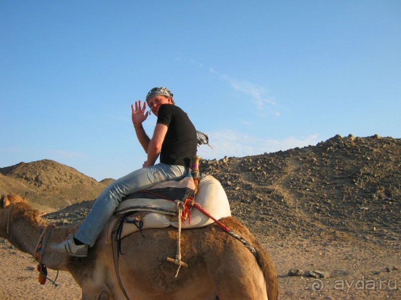 Альбом отзыва 