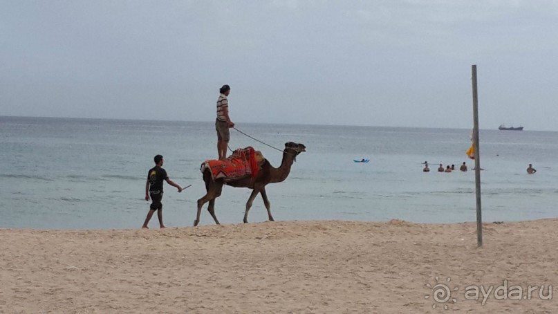 фото El Ksar Resort & Thalasso