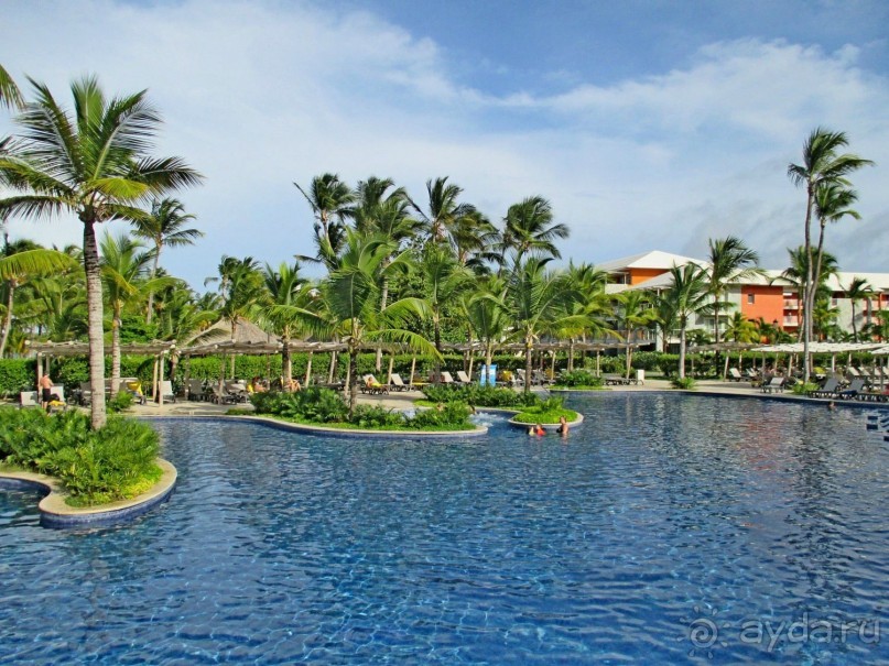 Barcelo Bavaro Beach - отдых о котором мечтают многие.