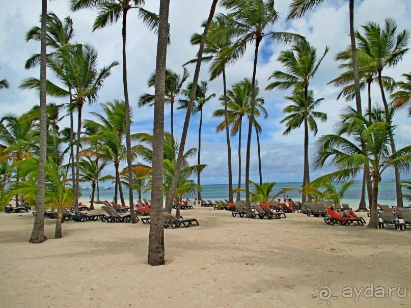 Barcelo Bavaro Beach - отдых о котором мечтают многие.