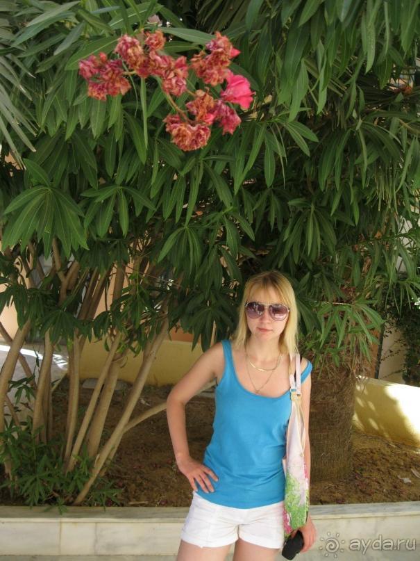 Для тех, кто ходит в номер только ночевать и то не каждый раз