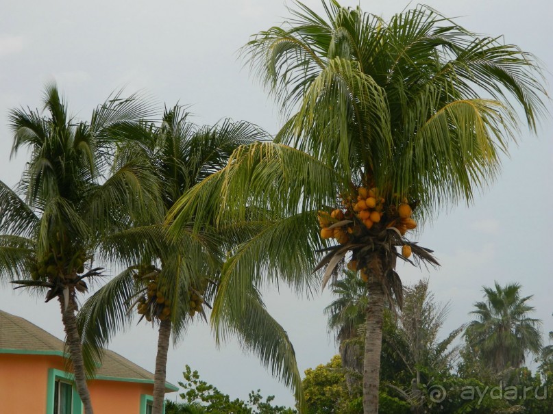 Отель 3*, на их же и облуживание