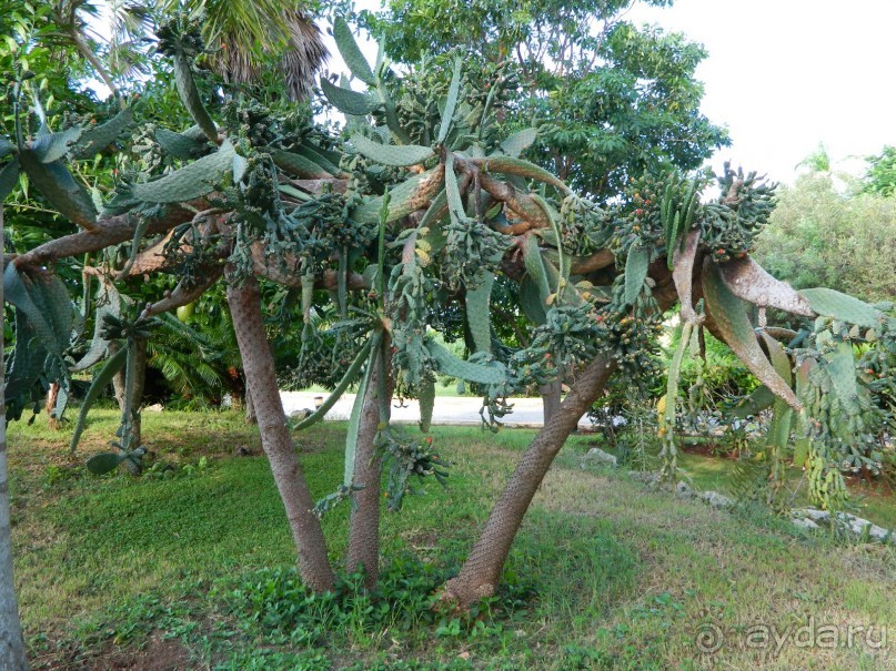 Отель 3*, на их же и облуживание