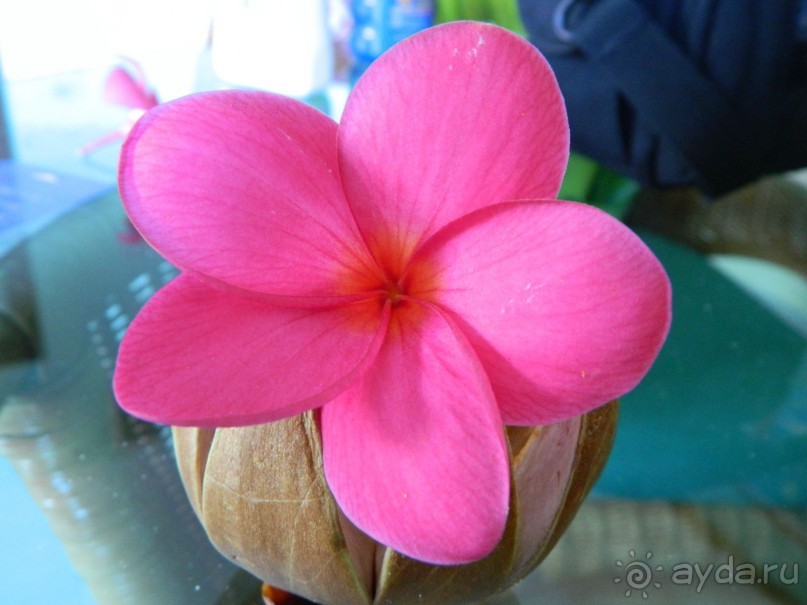 Отель 3*, на их же и облуживание